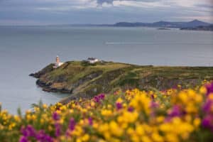 View Of Howth