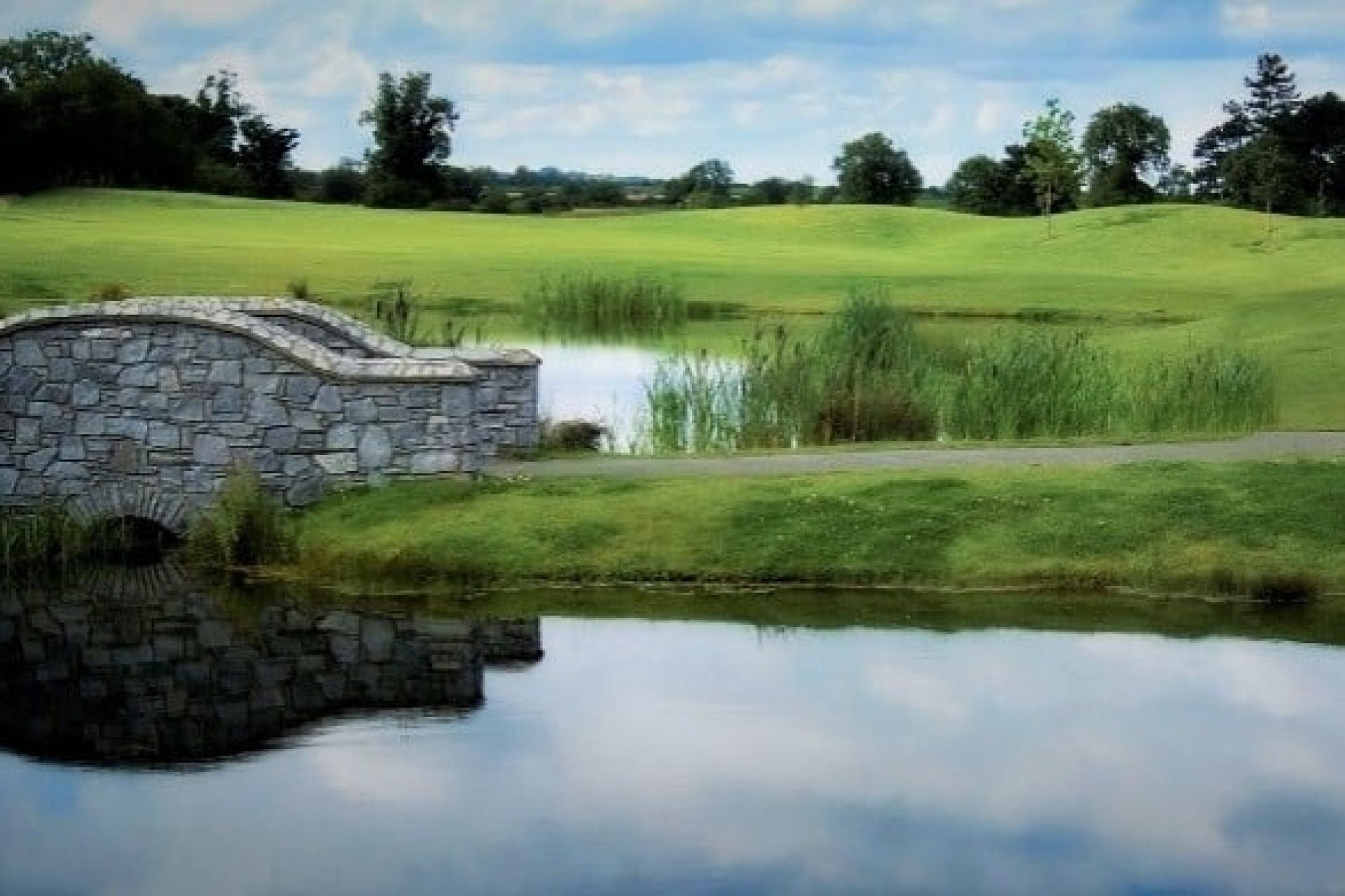 Green Hotel - Bridge