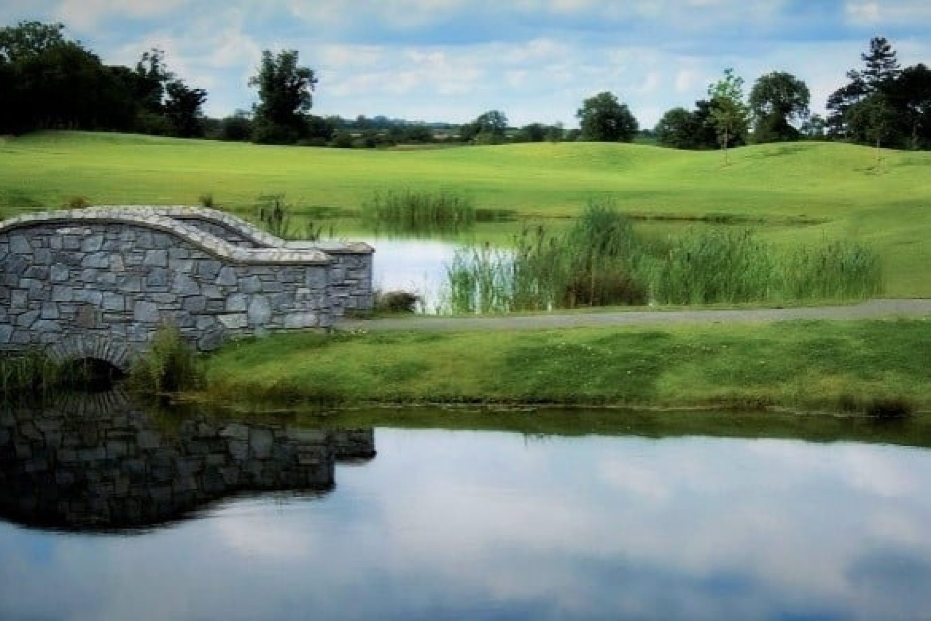 Green Hotel - Bridge