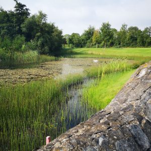 View Of Lake From Bridge